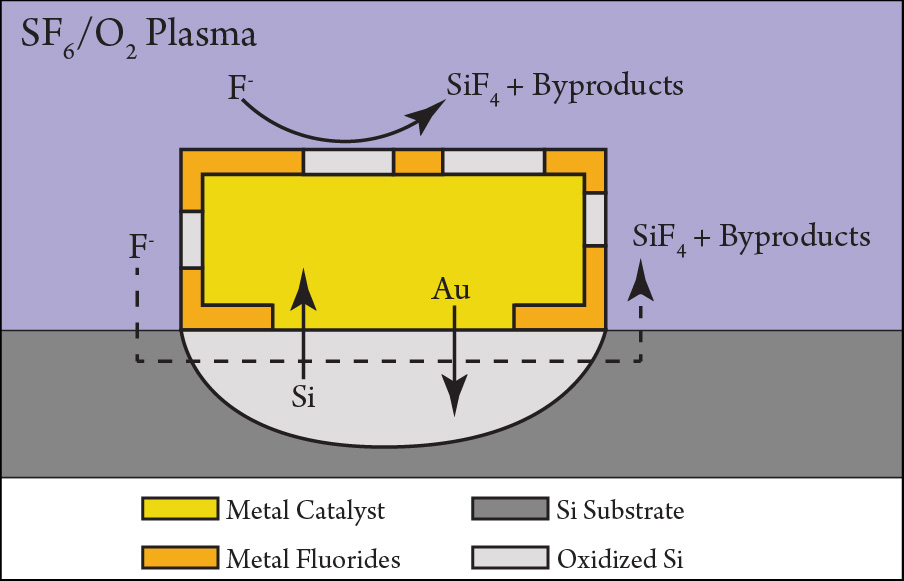 Publication Image